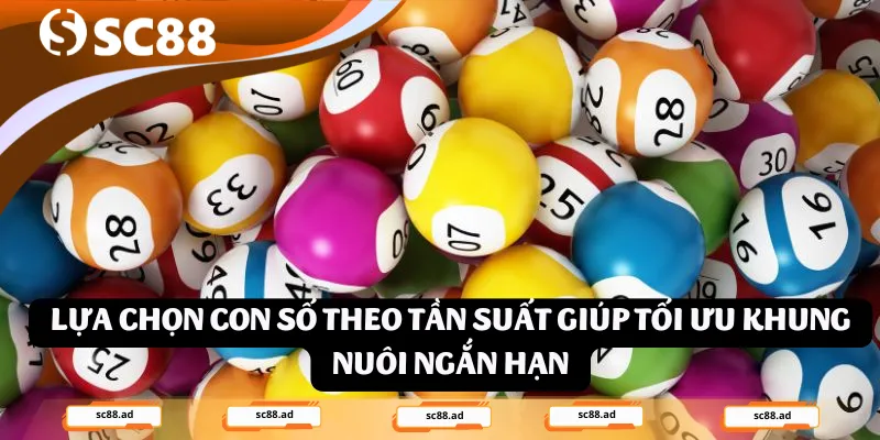 Lựa chọn con số theo tần suất giúp tối ưu khung nuôi ngắn hạn